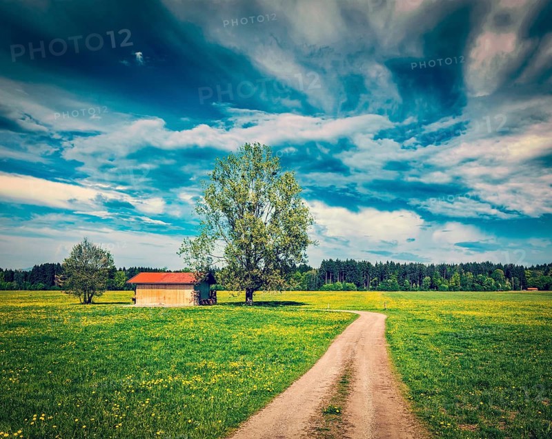 Vintage retro effect filtered hipster style image of rural road in summer meadow with wooden shed. Bavaria, Germany, Europe