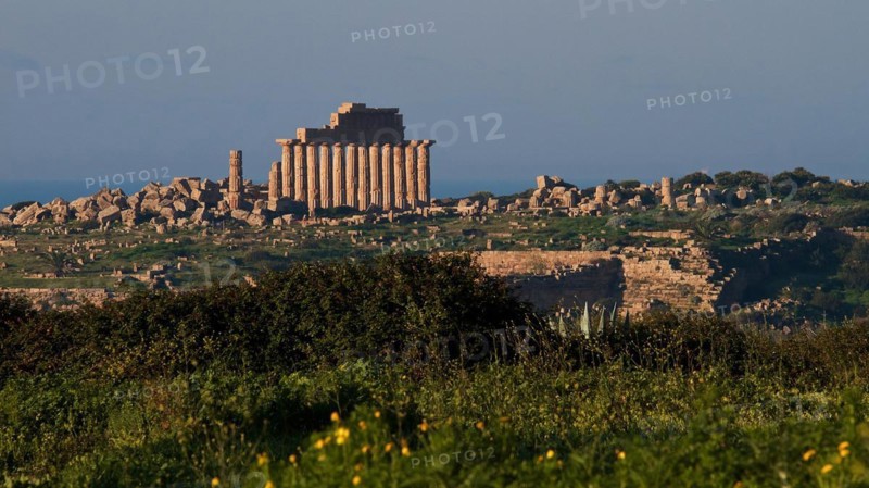 Temple C, Temple of Apollo, Green Meadow, Selinunte, Archaeological Site, Temple, Southwest Sicily, Sicily, Italy, Europe