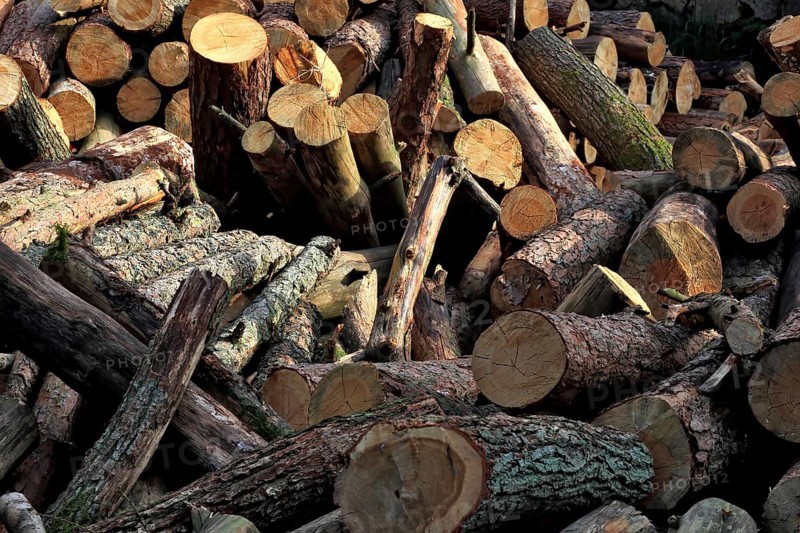 Firewood, logs, sawn into metre pieces