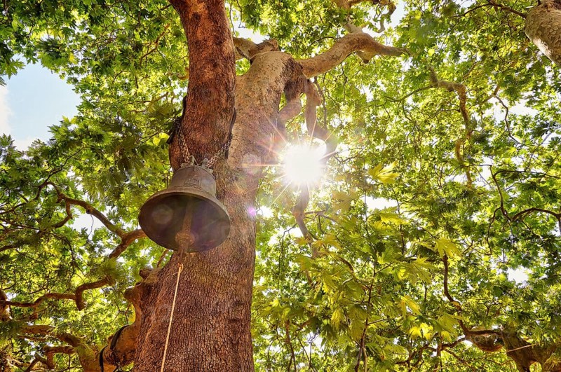 Monastery of Agios Ioannis, chapel, church bell hanging in tree, backlight, sun as star, west coast of Rodopou peninsula, west Crete, island of Crete, Greece, Europe