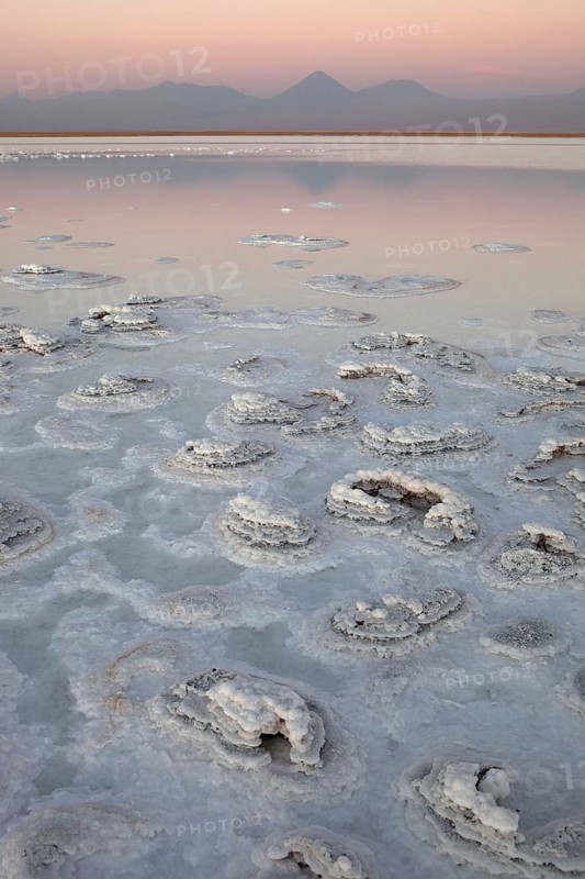 Atacama salt lake, Altiplano, Licancabur volcano, Chile, South America