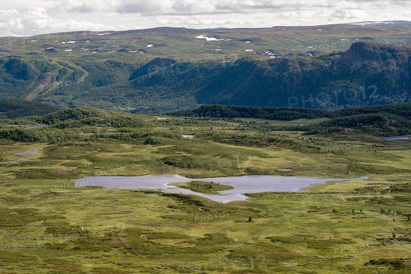 Tundra landscape with birch forests and lakes, Fjell, Øystre Slidre, Jotunheimen National Park, Norway, Europe