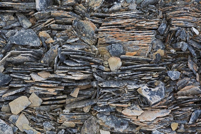 Close-up of shattered sedimentary rock, slate, shale fractured along existing joints by frost weathering on Svalbard, Spitsbergen, Norway, Europe