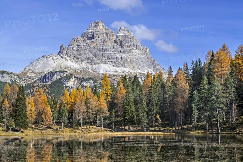 Mountain Drei Zinnen and larch trees in autumn colours around Lake Lago d'Antorno in the Tre Cime Natural Park, Dolomites, South Tyrol, Italy, Europe