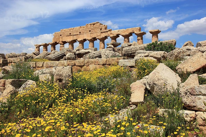 Selinunte, remains of the temples of the acropolis in the archaeological site of Selinunte, Trapani province, Sicily, Italy, Europe
