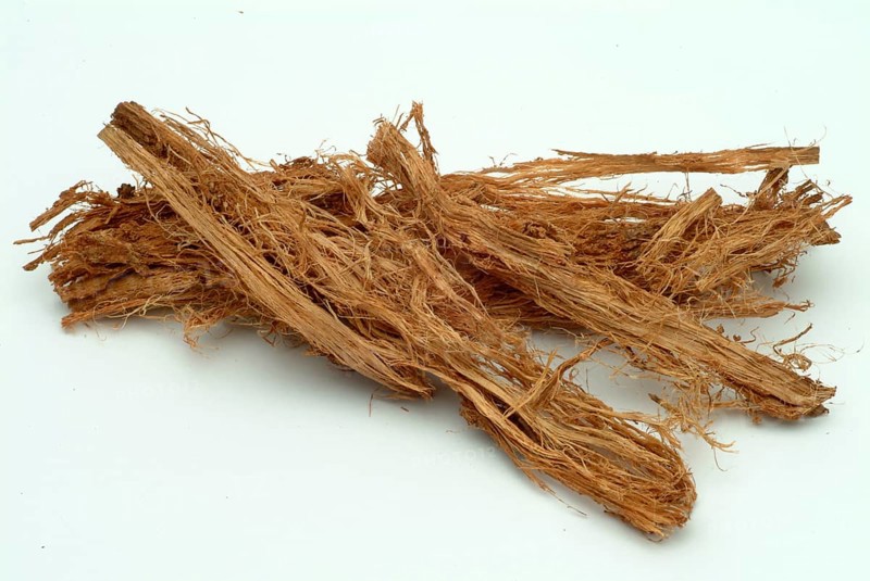 Incha, queen sago, is a species of palm fern, sago palm fern, Cycas cireinnalis, medicinal plant, bark of a shrub, tree, India, use for Ayuveda, Asia