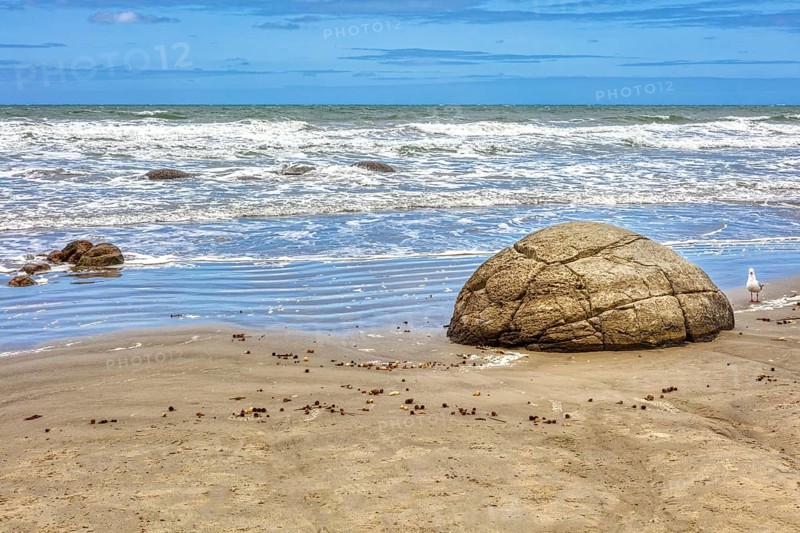 Moeraki Boulders Beach, Otago, Neuseeland