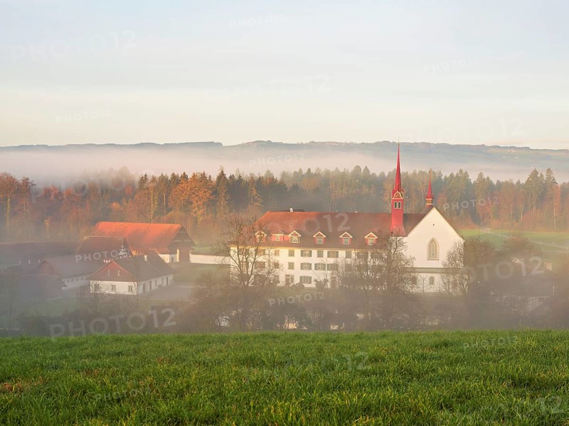 Morning atmosphere, Frauenthal Monastery in the fog, Hagendorn, Canton Zug, Switzerland, Europe