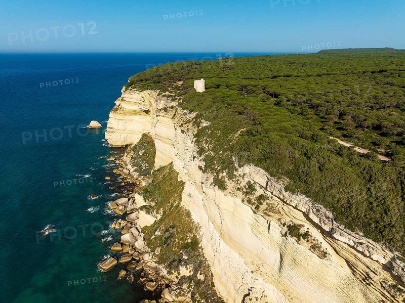 Cliff, pine tree (Pinus pinea) forest and watchtower Torre de Tajo in the Nature Reserve La Breña y Marismas del Barbate, aerial view, drone shot, Cádiz province, Andalusia, Spain, Europe