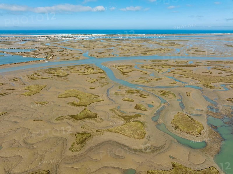 Network of channels and streams at low tide, in the marshland of the Bahía de Cádiz, in the distance the village of Sancti Petri and the coastline of the Atlantic Ocean, aerial view, drone shot, Cádiz province; Andalusia; Spain