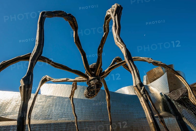 Guggenheim Museum Bilbao, Architect Frank O. Gehry, Sculpture Maman by Louise Bourgeois, Bilbao, Basque Country, Spain, Europe