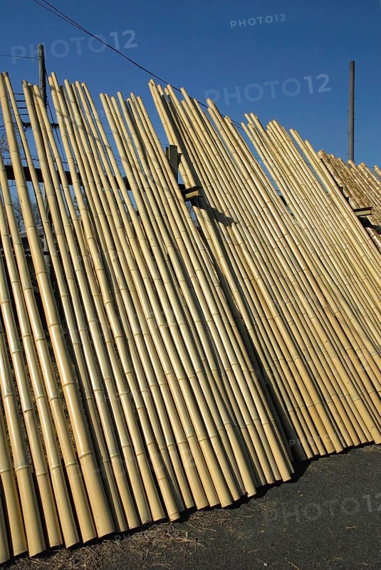 Bamboo poles, processing, products, poles, Kyoto, Japan, Asia