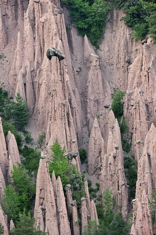 The earth pyramids, fairy chimneys of Longomoso, Lengmoos, Monti di Mezzo on the Renon plateau, Ritten plateau, South Tyrol, Dolomites, Italy, Europe