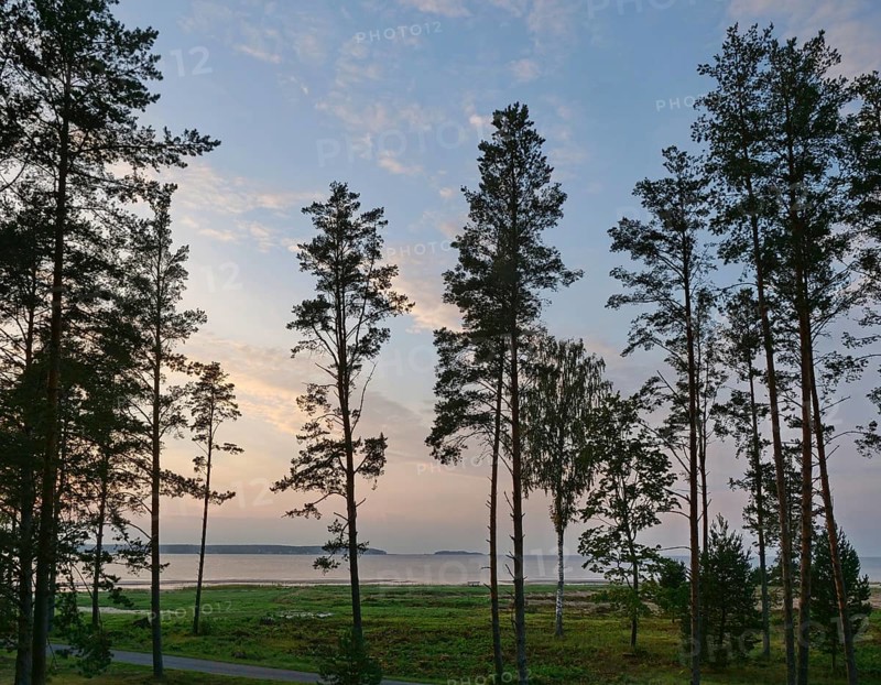 Beach in the Estonian village of Vösu in Lahemaa National Park on the Gulf of Finland, Estonia, Europe