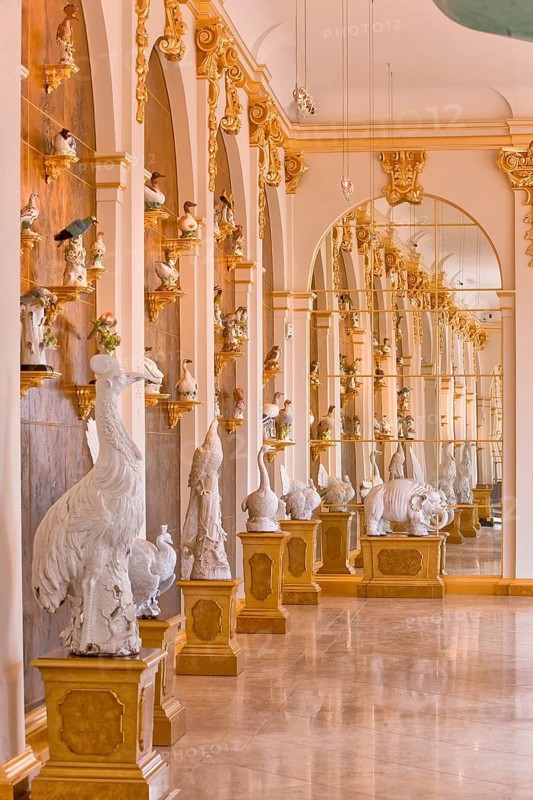 Dresden Porcelain Collection
