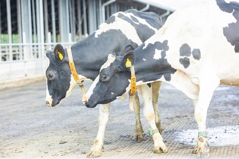 Federal Minister of Food and Agriculture, Cem Özdemir, visits Großdrebnitzer Agrarbetriebsges. mbH together with Saxony's Minister of Agriculture, Wolfram Günther