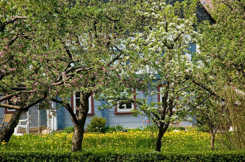 Bertsdorf