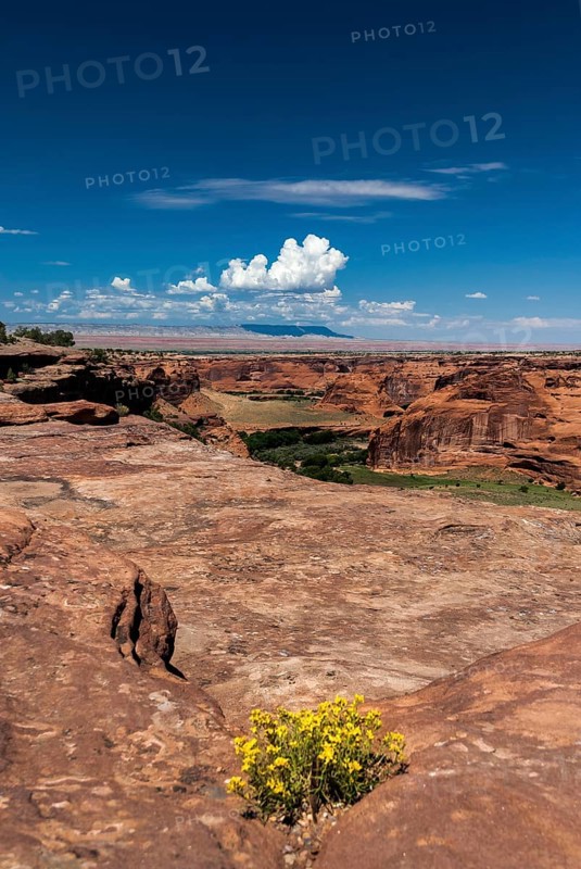 Chelly Canyon National Park, Arizona, USA, North America