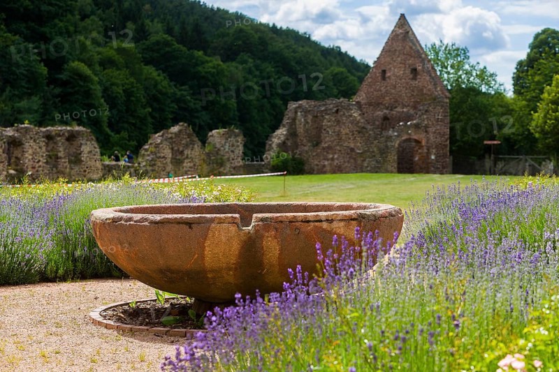 DEU Saxony Klosterbuch Area of the former cloister with Romanesque fountain bowl in the Kreugarten Buch Monastery is a former Cistercian monastery founded as St. Mary's Monastery in the 12th century. After the Reformation, it and its lands became a purely agricultural enterprise