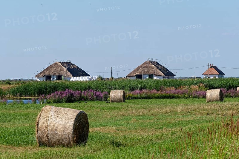 Puszta and steppe landscape in Hortobagy National Park, Hortobagy Nemzeti Park, UNESCO Biosphere Reserve. Hortobagy, Debrecen, Hungary, Southeast Europe, Europe