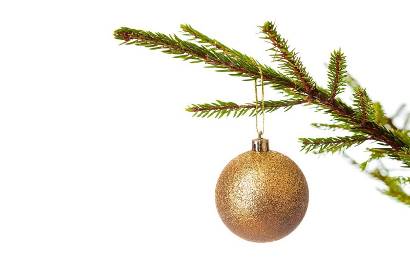 Christmas celebration holiday background with copyspace, Christmas-tree decoration bauble on decorated Christmas tree branch isolated on white background