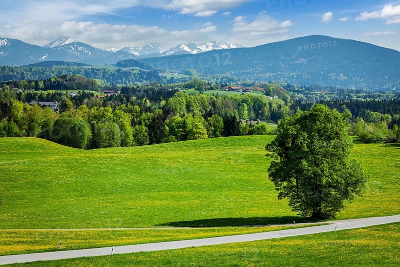 Road in pastoral idyllic german countryside with Bavarian Alps in background on beautiful summer day