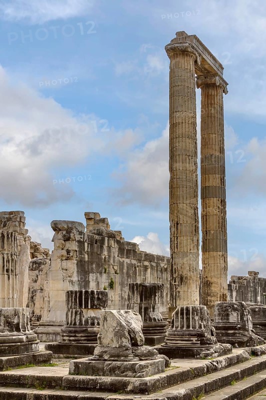 Columns of the Temple of Apollo, excavation site of Didyma, today Didim, Ionia, Aydin Province, Turkey, Asia