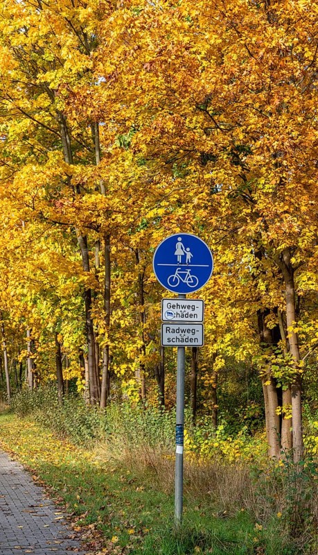 Autumn time, federal road B 96 to Schildow, Berlin, Germany, Europe