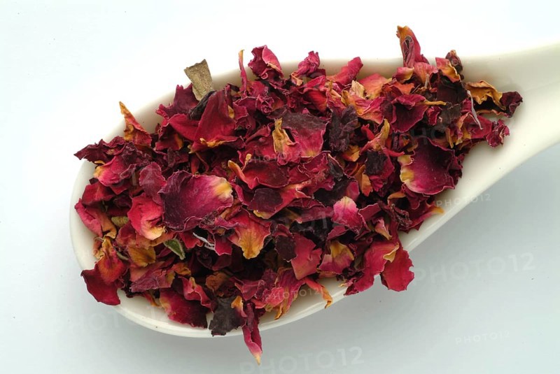 Dried petals of the medicinal plant rose, fragrant rose, Rosa gallica officinalis, The rose is also a valuable medicinal plant due to its anti-inflammatory tannins and flavonoids