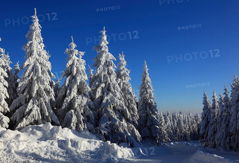 Winter landscape in the Fichtelgebirge, Bayreuth district, Upper Franconia, Bavaria, Germany, Europe