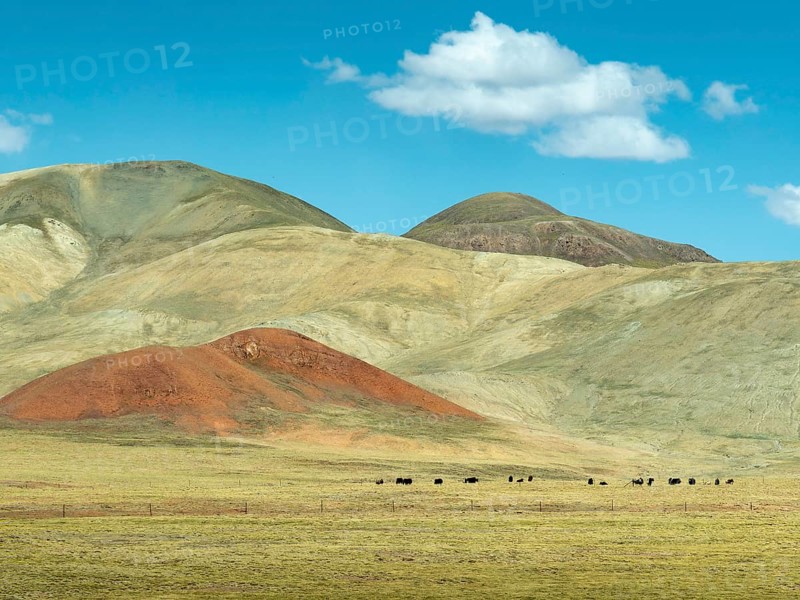 Mountains and pasture landscape, highlands of Tibet, China, Asia