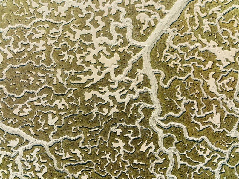 Network of dry channels and streams at low tide, in the marshland of the Bahía de Cádiz, aerial view, drone shot, Cádiz province, Andalusia, Spain, Europe