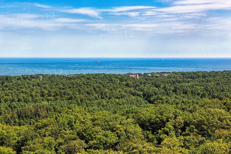 Panoramic view of the Prorer Wiek and the Baltic Sea from the viewing platform, tree-top walk at the Rügen Natural Heritage Centre, Prora, Binz, Rügen, Mecklenburg-Western Pomerania, Germany, Europe