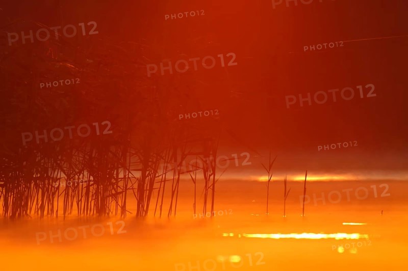 Sunrise over a lake in Mecklenburg, Müritz National Park, Mecklenburg-Vorpommern, Germany, Europe