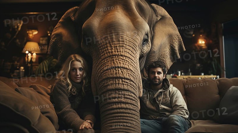 A young couple sitting uncomfortably on the couch together ignoring the elephant in the room. generative AI