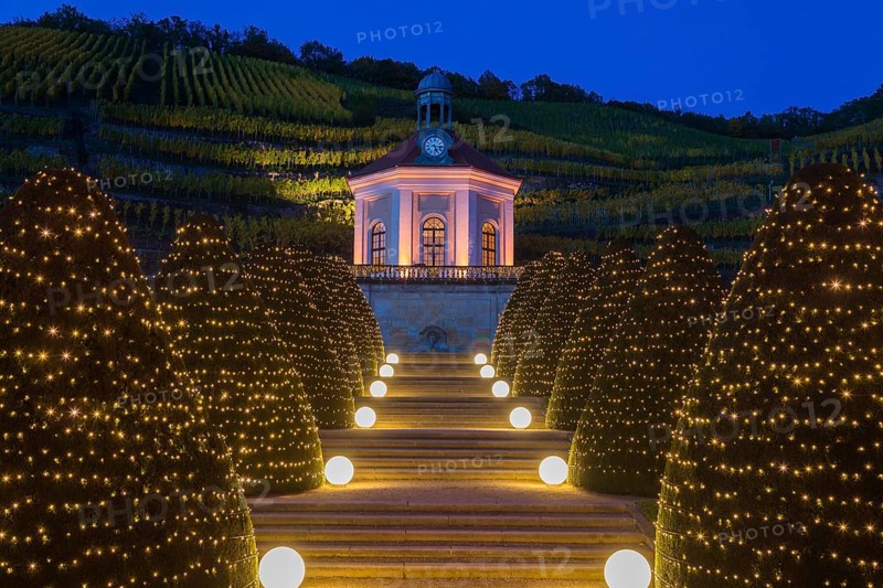 Autumnal evening mood at the Wackerbarth Castle Winery
