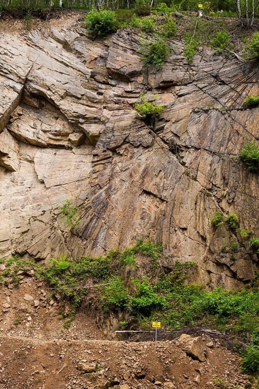The Tharandt Forest, formerly known as the Grillenburg Forest, is a landscape in the centre of Saxony and lies southwest of the forestry town of Tharandt, south of the town of Wilsdruff. The geotope Porphyry Fan at Schmieders Graben is the centre of the open-air geological museum in the Tharandt Forest