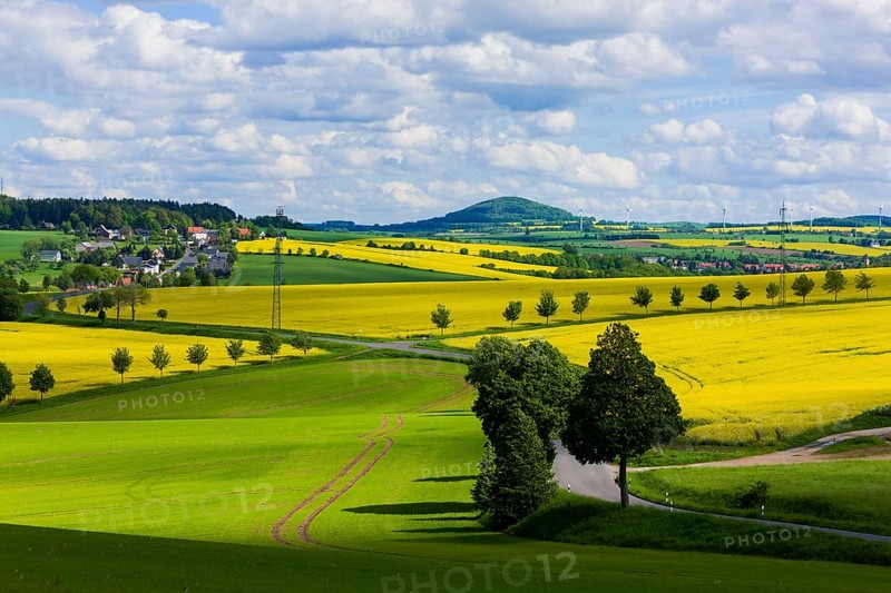 Rape fields in bloom in Seifersdorf near Malter View to the Luchberg mountain
