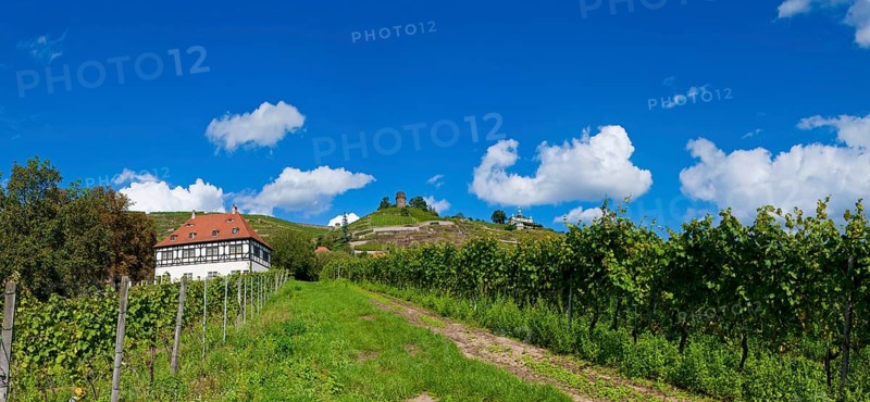 Hoflößnitz Winery in Radebeul