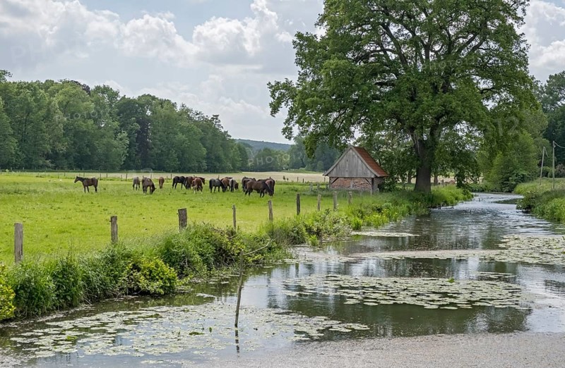 Münstersche Aa, Havixbeck, Münsterland, North Rhine-Westphalia, Germany, Europe