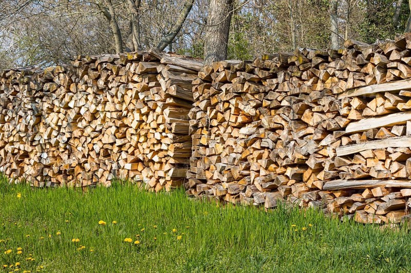 Stacked logs, Saxony, Germany, Europe