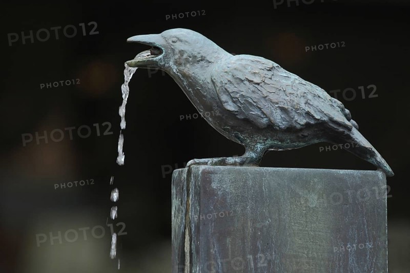 Detail with raven as gargoyle and water jet at the Fools' Fountain, Furtwangen, Southern Black Forest, Black Forest, Baden-Württemberg, Germany, Europe