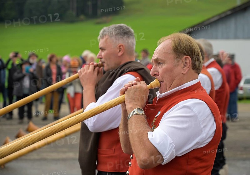 16. 09. 2022. alphorn blowers at the Almabtrieb, cattle seperation in Thalkirchdorf, Markt Oberstaufen, Allgäu, Bavaria, Germany, Europe