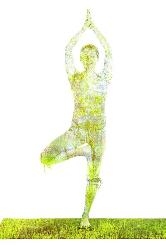 Nature harmony healthy lifestyle concept, double exposure image of woman doing yoga Tree pose asana Vrikshasana exercise isolated on white background
