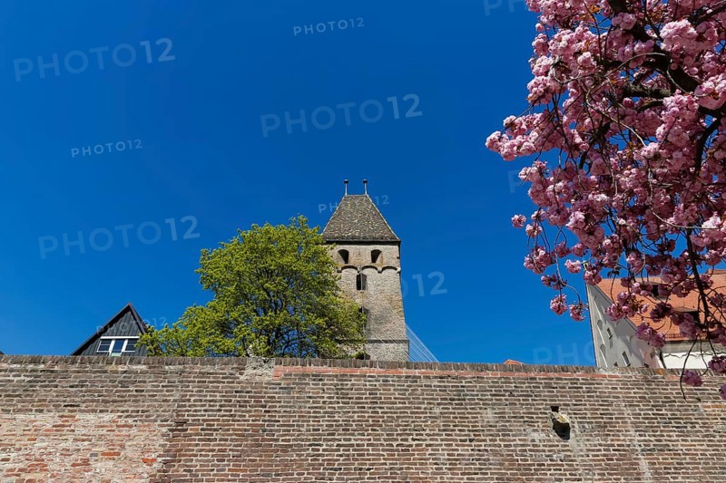 Metzgerturm with an installation by Johannes Pfeiffer, temporary art in public space, contemporary art, rope installation, wire ropes, blue sky, historical building, city gate of the medieval city fortification, flowering branches, spring blossoms, pink blossoms, Ulm, Baden-Württemberg, Germany, Europe