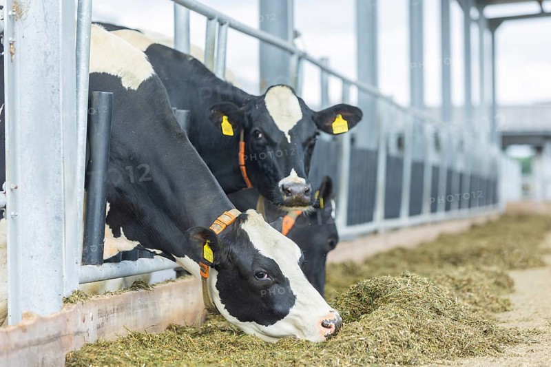 Federal Minister of Food and Agriculture, Cem Özdemir, visits Großdrebnitzer Agrarbetriebsges. mbH together with Saxony's Minister of Agriculture, Wolfram Günther