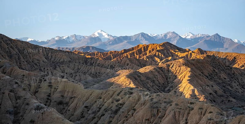 Landscape of eroded hills at sunrise, badlands, white mountain peaks of the Tian Shan Mountains in the background, Canyon of the Forgotten Rivers, Issyk Kul, Kyrgyzstan, Asia