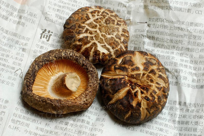Shitake mushrooms, dried, on Chinese newspaper, Shiitake (Lentinus edodes) Shitake, medicinal mushrooms