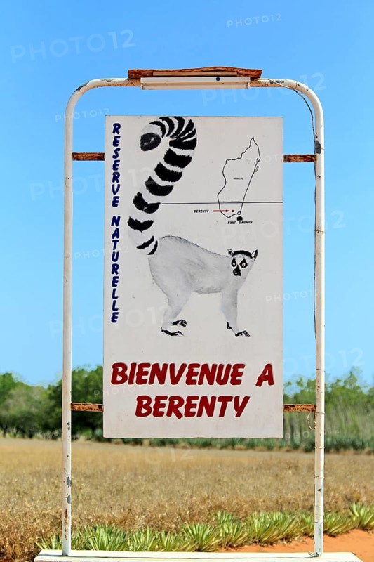Berenty Shield, Berenty Reserve, Madagascar, Africa
