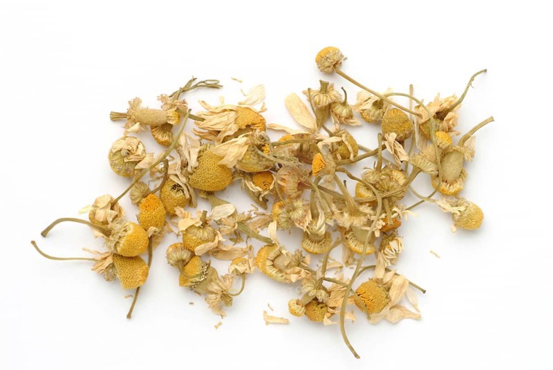 Dried blossoms of the true camomile (Matricaria recutita) medicinal plant, true camomile, can alleviate many complaints, from stomach aches to gum inflammations to sore throats. It is used externally and internally